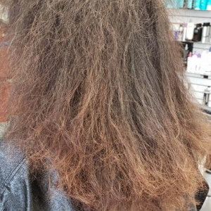 Before-Damaged-delicate-hair
