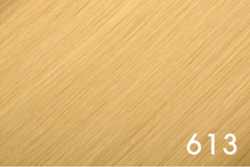 613