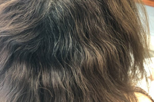 Home Builders News 169